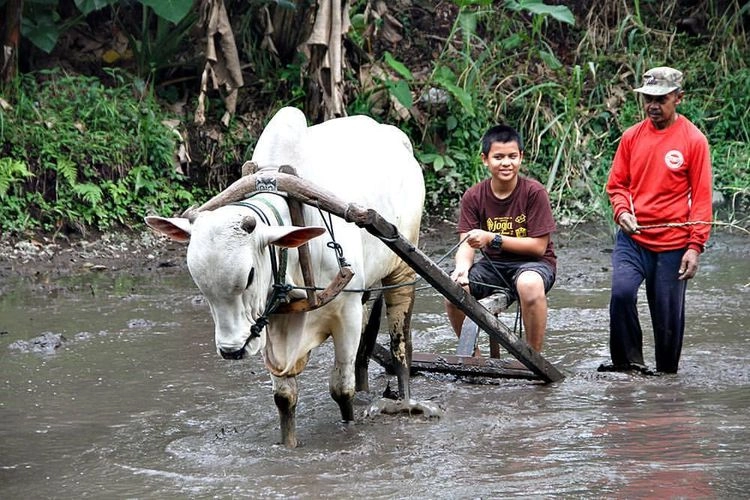 Desa Wisata Tetap Jadi Program Unggulan Pengembangan Pariwisata Indonesia