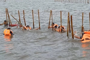 Mengapa KKP Lanjutkan Penyidikan Pagar Laut Tangerang walau Dibongkar TNI? Ini Alasannya