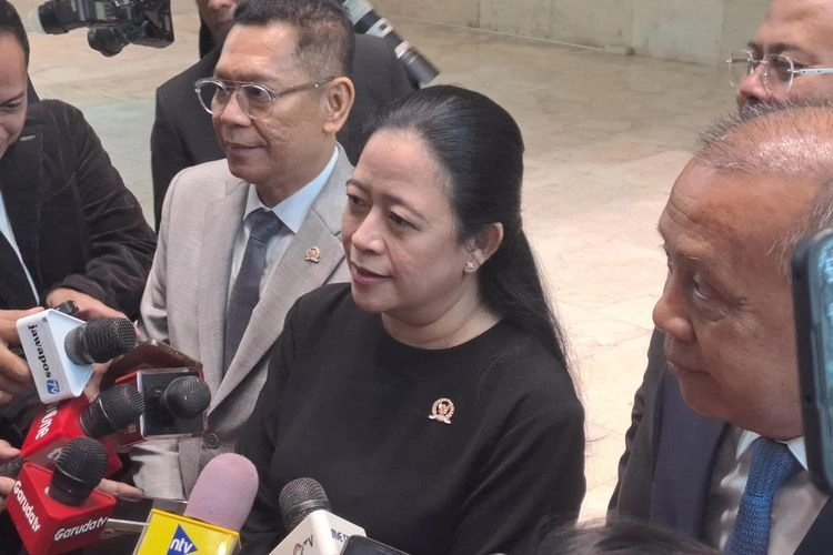 Puan Yakin Megawati dan Prabowo Punya Harapan Sama untuk Bertemu