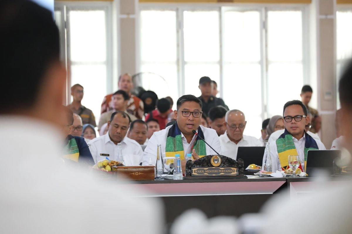 Wamentan Sebut Masih Banyak Daerah Serap Gabah dengan Harga di Bawah HPP
