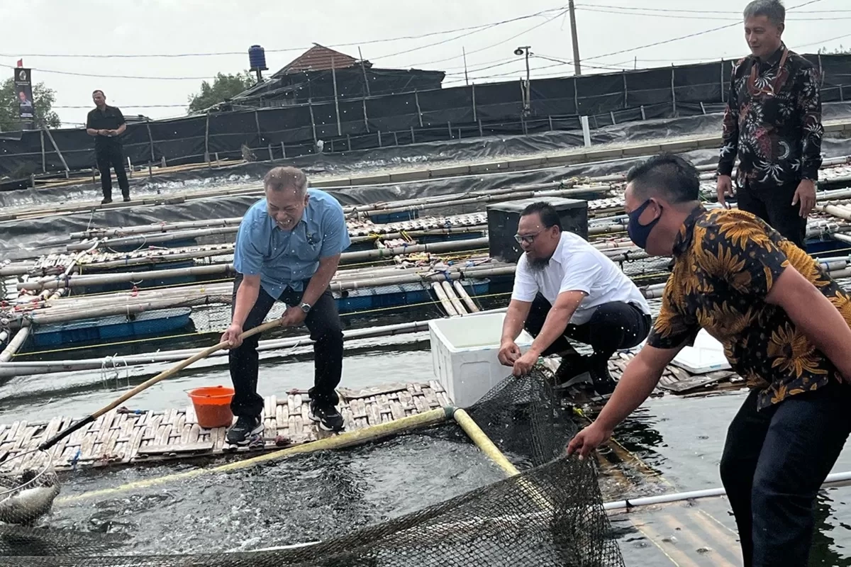 Kemenkop Bakal Bentuk Satgas Revitalisasi untuk Tangani Koperasi Bermasalah, ini Progresnya