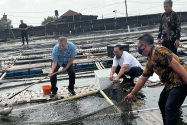 Kemenkop Bakal Bentuk Satgas Revitalisasi untuk Tangani Koperasi Bermasalah, ini Progresnya