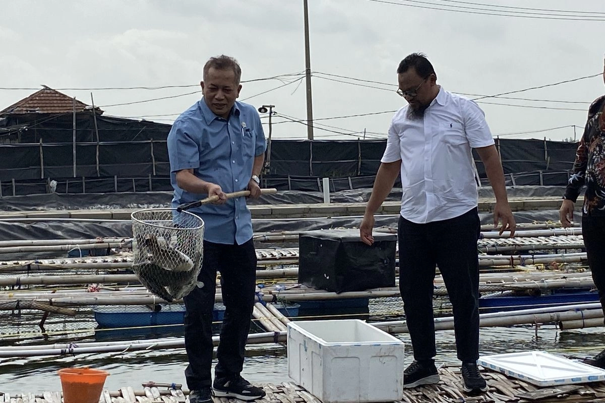 Kemenkop Akan Perbanyak Anggota dari Petani Tambak Ikan, Ini Tujuannya