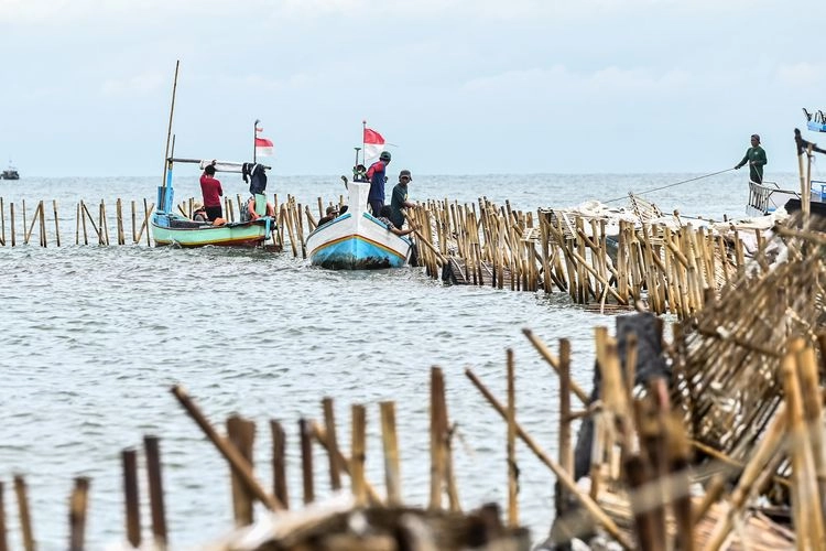 Melacak Siapa yang Beri HGB dan SHM Pagar Laut di Tangerang...