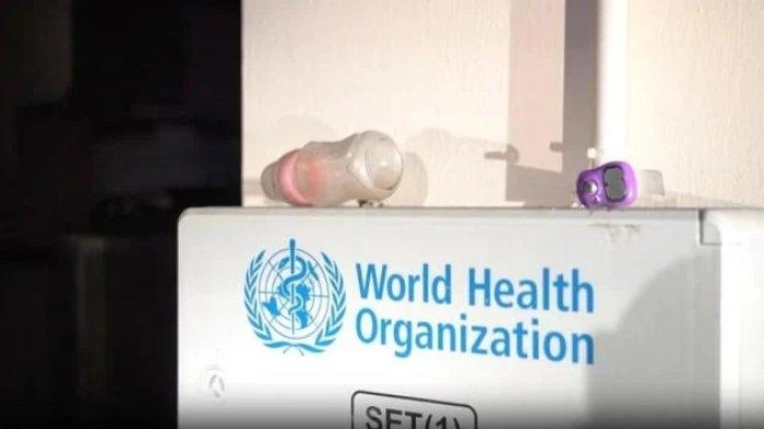 Jerman Rayu Trump Agar AS Tak Angkat Kaki dari WHO, Antisipasi Terjadinya Krisis Kesehatan Global