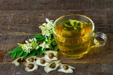 Apa Saja Manfaat Minum Air Rebusan Daun Kelor? Berikut 7 Daftarnya…