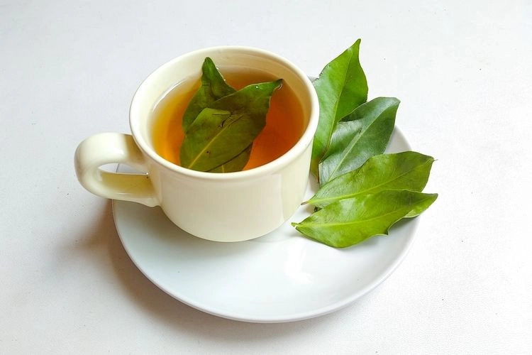 Bolehkah Minum Air Rebusan Daun Salam Setiap Hari? Ini Penjelasannya…