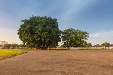 Ini Rencana Penataan Pedagang di Alun-alun Selatan Yogyakarta