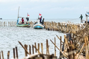 Menteri KP: Pemagaran Laut di Tangerang-Bekasi Rugikan Nelayan dan Ganggu PLTU