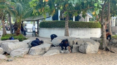 Geram Taman Rusak Gara-gara Koin Jagat, Wali Kota Pattaya Minta Polisi Tangkap Pengguna Aplikasi