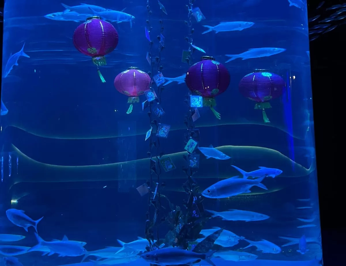 Aktivitas Seru yang Bisa Jadi Pilihan Menyambut Long Weekend