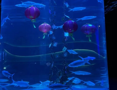 Aktivitas Seru yang Bisa Jadi Pilihan Menyambut Long Weekend