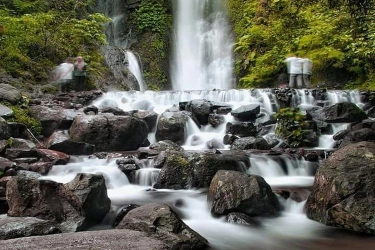 Curug Cilember Bogor, Punya Tempat Konservasi Kupu-kupu