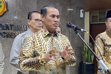 Mentan Amran Minta Importir Singkong Jangan Zalimi Petani, Ada Apa?