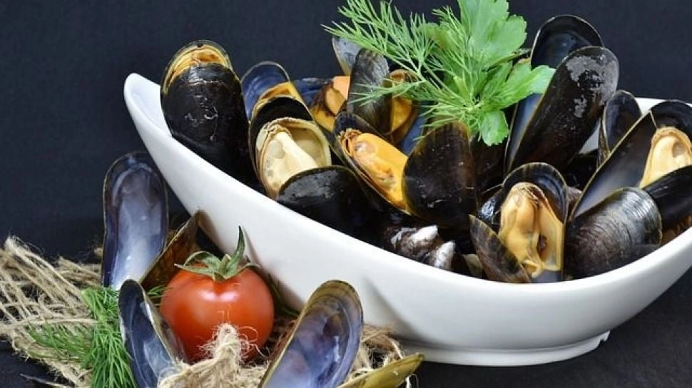 Doyan Makan Kerang? Waspadai Deretan Bahayanya, Ibu Hamil Harus Hati-Hati