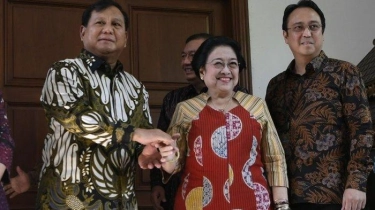 Puan Maharani: Presiden Prabowo Beberapa Kali Kirim Vitamin untuk Megawati Soekarnoputri
