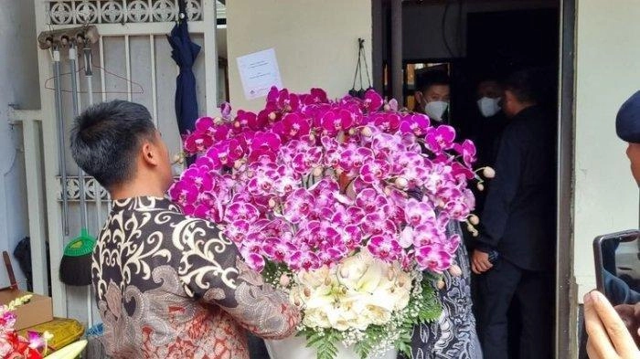 Ultah Ke-78, Prabowo Kirim Bunga Anggrek ke Megawati, Ini Makna Bunga Anggrek