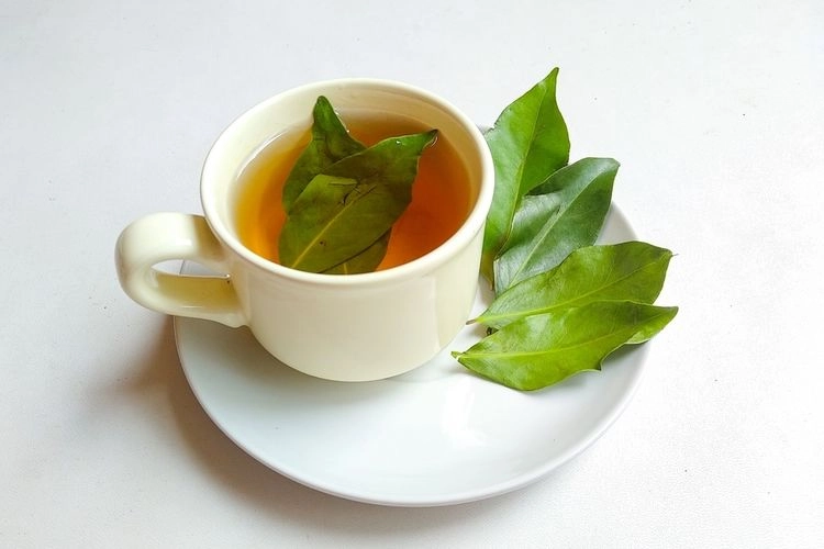 Kapan Waktu yang Tepat Minum Air Rebusan Daun Salam? Ini Ulasannya…