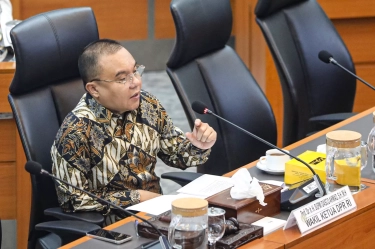 Wakil Ketua DPR RI Sufmi Dasco Ahmad Kecam Penambakan PMI oleh Otoritas Malaysia