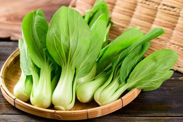 Apakah Manfaat dari Sayur Pakcoy? Ini 9 Daftarnya...