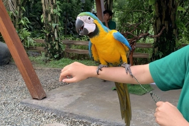 Tempat Wisata Alam Baru di Puncak Bogor, Enchanting Valley by Taman Safari
