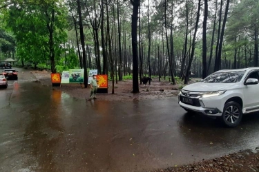 Wisata ke Taman Safari Bogor Tanpa Mobil Pribadi, Apakah Bisa?