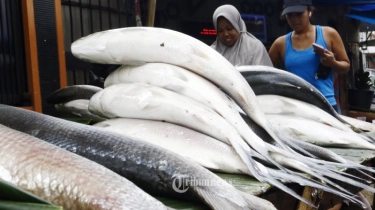 Akulturasi Betawi dan Tionghoa di Festival Bandeng Rawa Belong, Apa Maknanya saat  Perayaan Imlek?