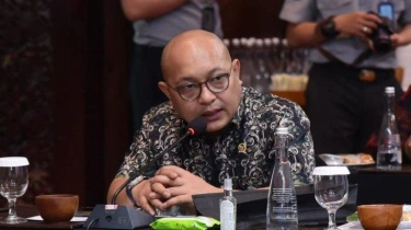 Legislator Demokrat Respons Wacana Amnesti dan Abolisi untuk KKB Papua