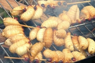 Kaya Protein! Ini Kandungan Gizi Serangga yang Diusulkan Masuk Menu Makan Bergizi Gratis