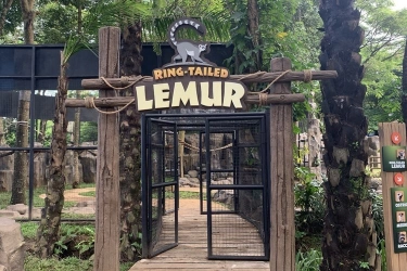 5 Tips Wisata di Enchanting Valley Taman Safari Bogor, Bawa Keluarga