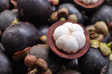 Apa Boleh Makan Buah Manggis Setiap Hari? Berikut Penjelasannya…