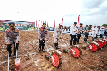 Demi Swasembada Pangan, Polri Siapkan Satu Juta Hektare untuk Ditanami Jagung