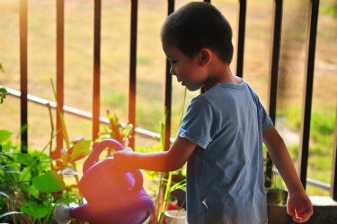 Studi: Anak yang Sering Mengurus Pekerjaan Rumah Cenderung Lebih Sukses