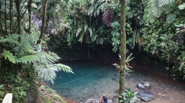 Wisatawan Ini Kapok Berlibur ke Gunung Bunder, Masuk Hutan Bayar Rp85 Ribu, Parkir Masih Kena Lagi