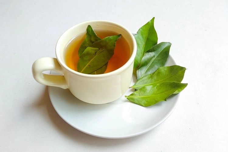 Apa Boleh Minum Air Rebusan Daun Salam Setiap Hari? Ini Penjelasannya…