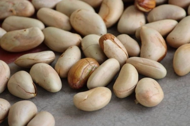 Jangan Buang Biji Nangka, Ini Manfaatnya untuk Kesehatan