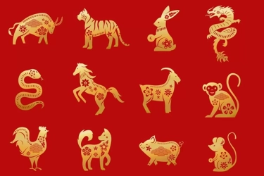 Februari Bawa Hoki Besar, Ini 6 Shio Terkuat dan Makmur Keuangannya Jelang Cap Go Meh 2025 Menurut Astrologi Tiongkok