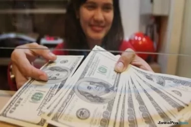 Google Error Bikin Geger, Harga Dolar Nyungsep di Angka Rp 8 Ribu