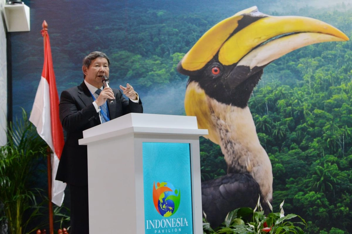 Hashim: Jika AS Tak Patuhi Paris Agreement, Haruskah Indonesia Tetap Taat Penuhi Target Transisi Energi?
