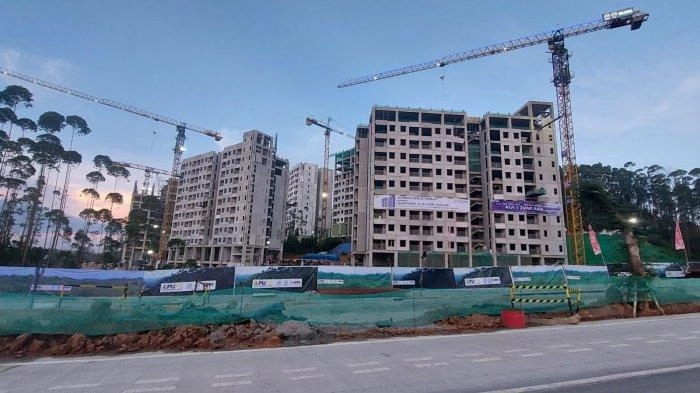 Kemenpan RB Ungkap 2 Alasan Batalnya Pemindahan ASN ke IKN pada Januari 2025