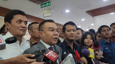 Wakil Ketua DPR: Penundaan Pelantikan Kepala Daerah Agar Lebih Efisien