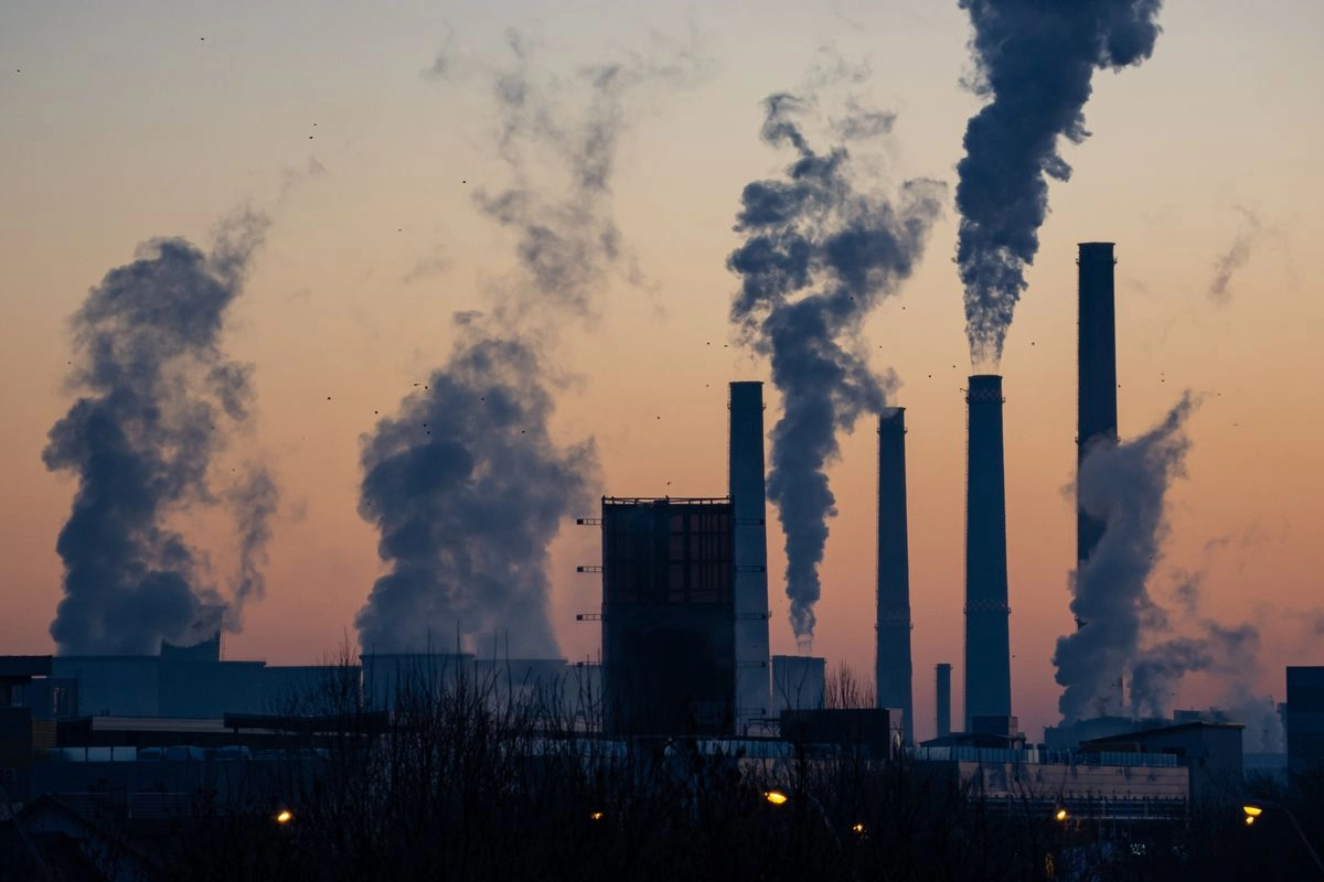 Manfaatkan Pelet Kayu hingga Limbah Uang Kertas, PLN Tekan Emisi 921.119 Ton CO2
