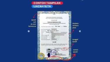 Cara Cek Nomor Ijazah SMA Online di Nisn.data.kemdikbud.go.id, Ikuti Panduan Lengkapnya