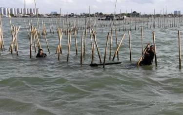 Pencabutan HGB Pagar Laut Tangerang, Pakar Unair: Saatnya Evaluasi Tata Ruang dan Agraria
