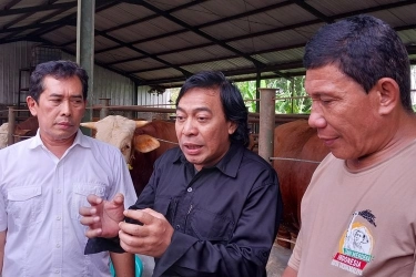 Anggota DPD Tak Dapat Mobil Dinas, Komeng: Dapatnya Rp 100 Juta untuk DP Kendaraan