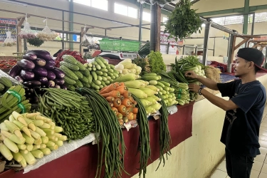 BPS: Januari 2025 Deflasi 0,76 Persen