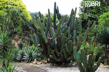 Taman Meksiko Buka Jam Berapa? Ini Jadwal dan Info Lengkapnya