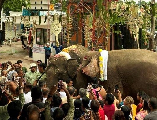 Jadi Simbol Suci, Kemenhut Boyong 2 Gajah saat Peresmian Kuil Hindu Terbesar ASEAN di Jakarta