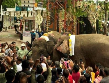 Jadi Simbol Suci, Kemenhut Boyong 2 Gajah saat Peresmian Kuil Hindu Terbesar ASEAN di Jakarta