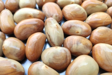 Biji Nangka Bisa Mengobati Penyakit Apa Saja? Berikut 5 Daftarnya…